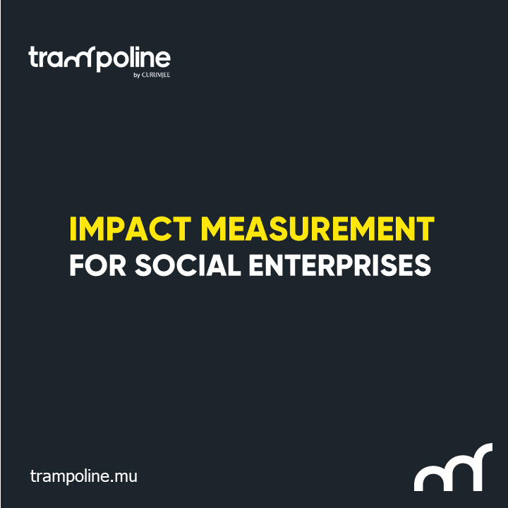 Discover our Impact Measurement for Social Enterprises! Get answers to your questions  & much more