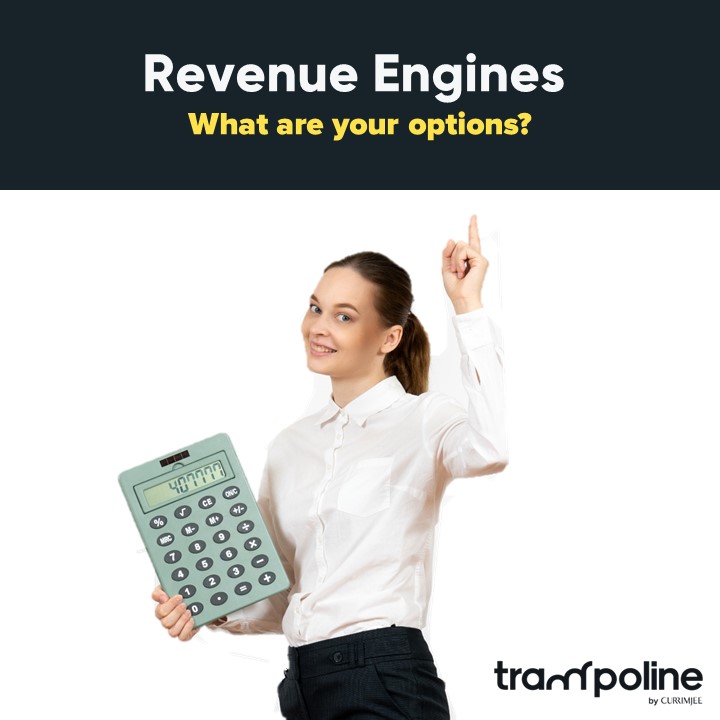 Revenue Engines, What are your options?